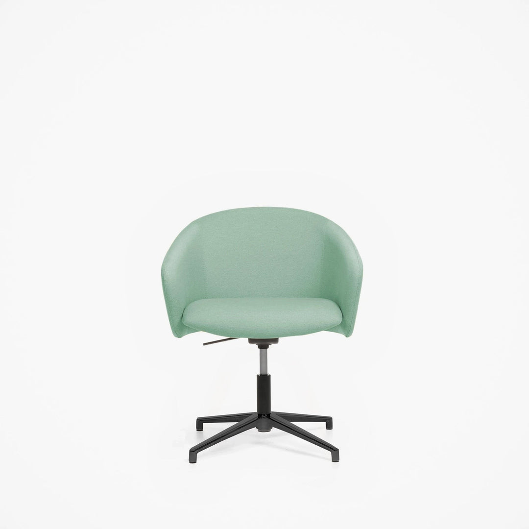 Toya Çalışma Sandalyesi - Alçak Sırt - Sabit Ayak - Alüminyum - Image 16