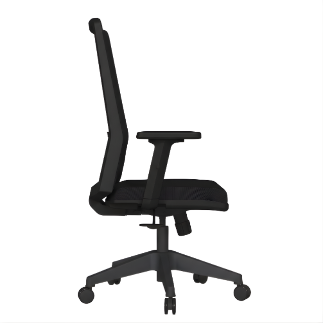 Ritim Ergonomik Çalışma Koltuğu | Fileli, Bel Destekli Ofis Koltuğu