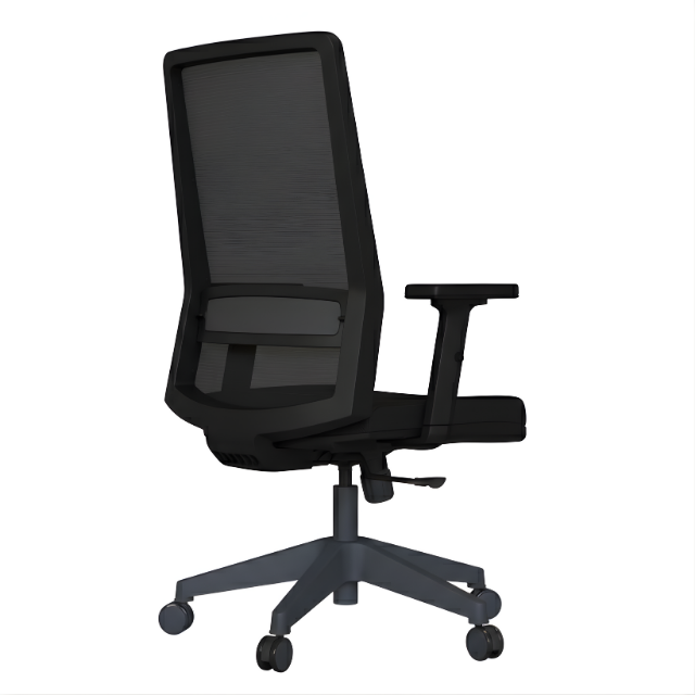 Ritim Ergonomik Çalışma Koltuğu | Fileli, Bel Destekli Ofis Koltuğu
