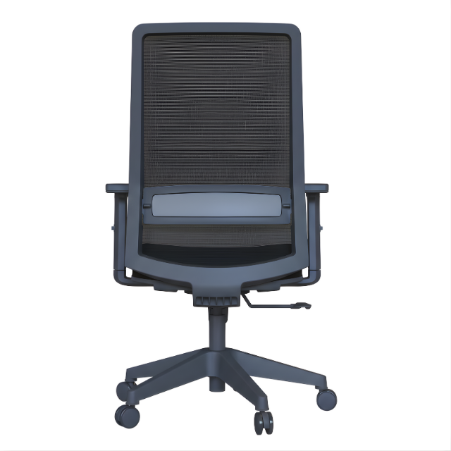 Ritim Ergonomik Çalışma Koltuğu | Fileli, Bel Destekli Ofis Koltuğu